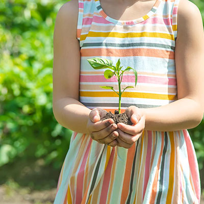 A young child with a stripey colorful dress holds up soil with a seedling growing out of it.